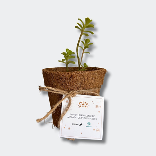 MACETERO FIBRA DE COCO