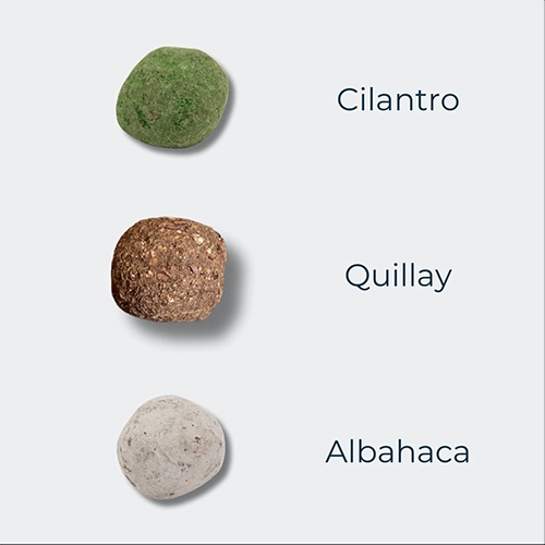 Ecobolsa bombas de semilla