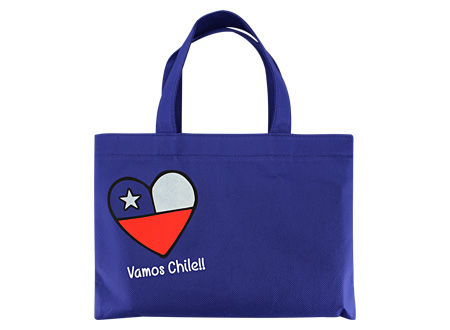 Bolsa TNT Vamos Chile