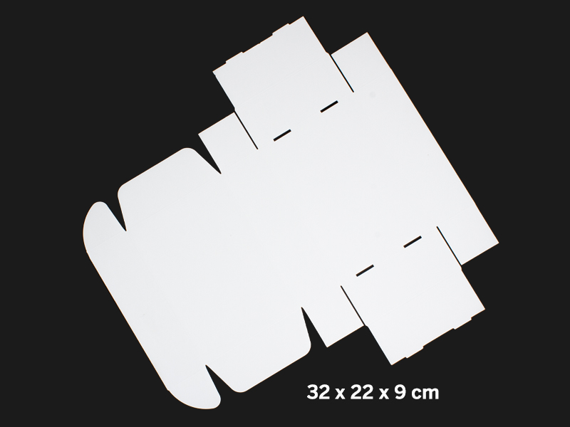 Caja autoarmable 32x22x9 cm