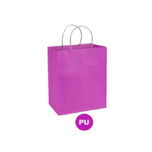 BOLSA PAPEL COLOR PAPEL