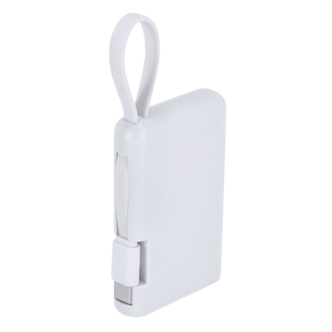 Power Bank Brandin Power Bank Brandin